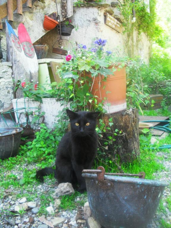 B&B Il Gatto Nero Castelveccana Exteriér fotografie
